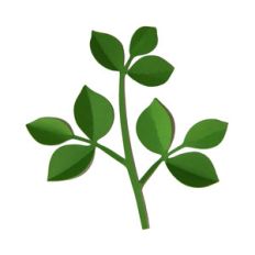 3d large leaf vine