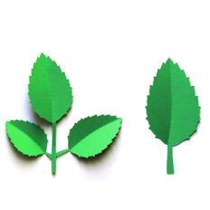 3d rose leaf