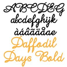 zp daffodil days bold