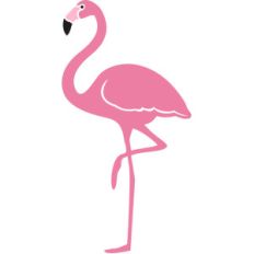 flamingo