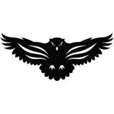 flying owl