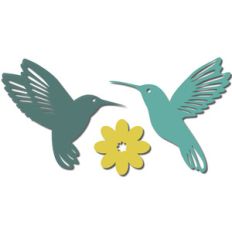 hummingbirds and flower