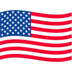 flag - yankee doodle