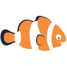 clown fish