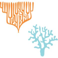 coral