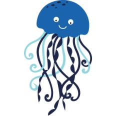 jelly fish