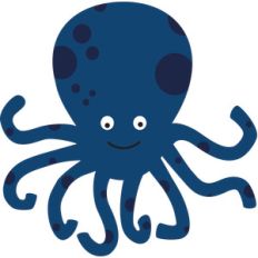 octopus