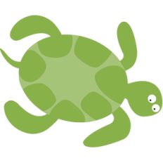 turtle