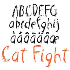 snf cat fight