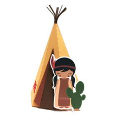 american indian box