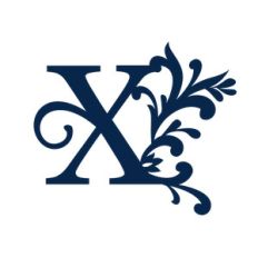 big flourish monogram - x