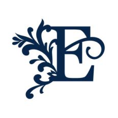 big flourish monogram - e