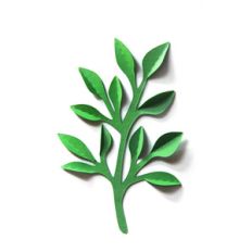 3d large leaf vine