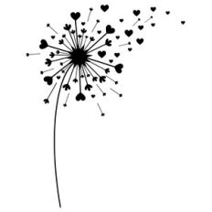 heart dandelion