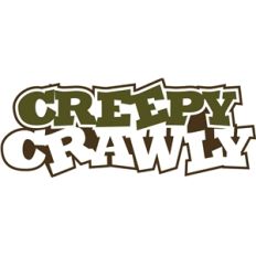 creepy crawly