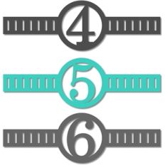 3 numbers bands w ribbon slots