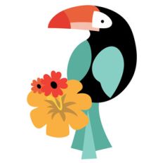 float on toucan