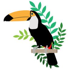 toucan with leaves