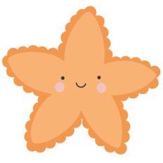starfish