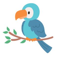 toucan