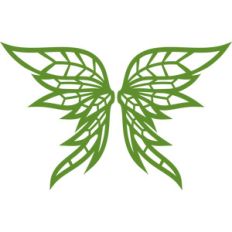 fairy wings