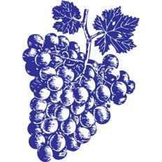 bunch of grapes