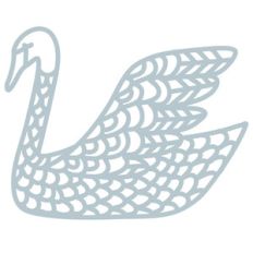 swimming swan
