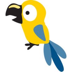 toucan