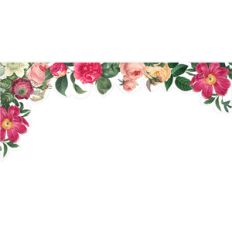 vintage floral frame