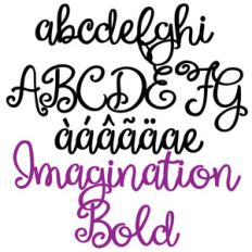 pn imagination bold