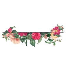 vintage floral underline
