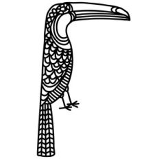 toucan