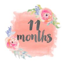 11 months onesie sticker