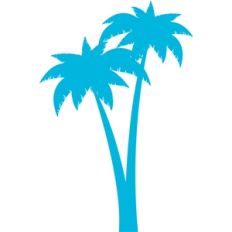 palm trees