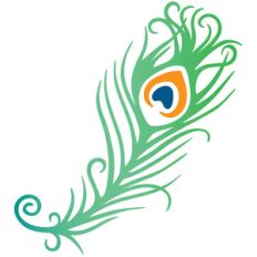 peacock feather