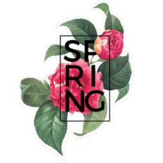 spring card
