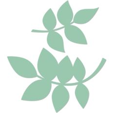 rose leaves