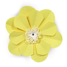 large wide flower