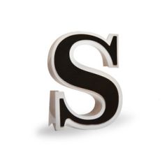 3d flat fold letter s