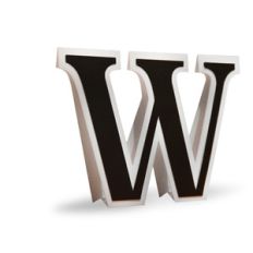 3d flat fold letter w