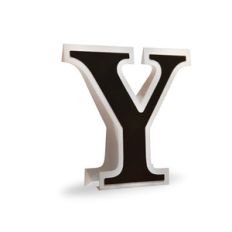 3d flat fold letter y