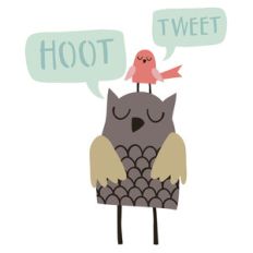 hinterland summer birds