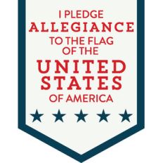 pledge banner