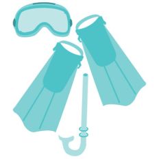 swim fins, snorkel, goggles