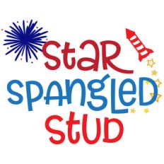 star spangled stud