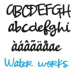 zp water works