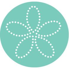 sand dollar - under the sea