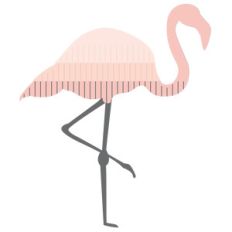 fringe flamingo