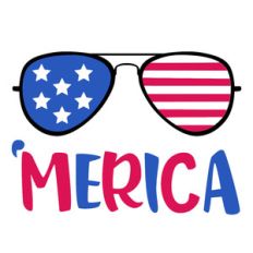 'merica sunglasses