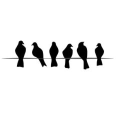 birds on a wire